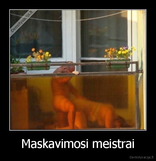 maskuote,seksas, viesumoje,seksas, balkone