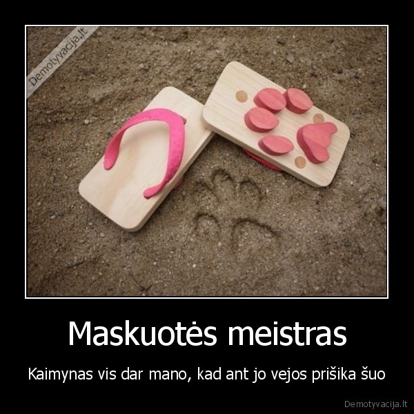 suo, kaimynas