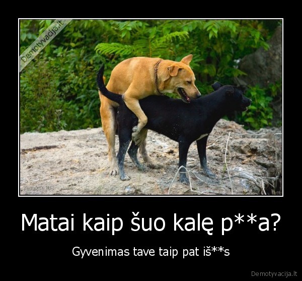 sunys,gyvenimas,lytiniai,santykiai