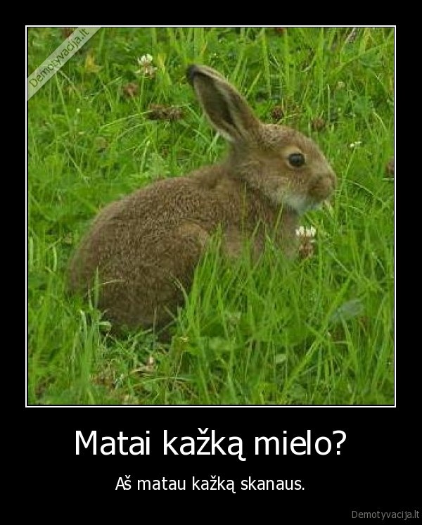 kiskis,triusis