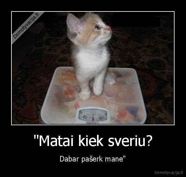 kaciukas,svoris,mase