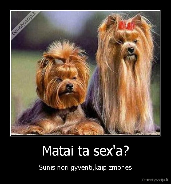 Matai ta sex'a?