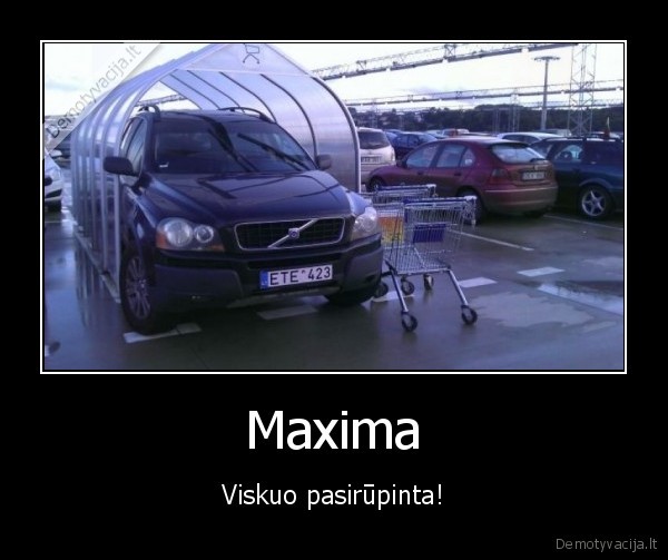 nes, maximos, aiksteleje, turi, savo, garaza