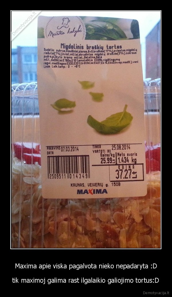 maistas