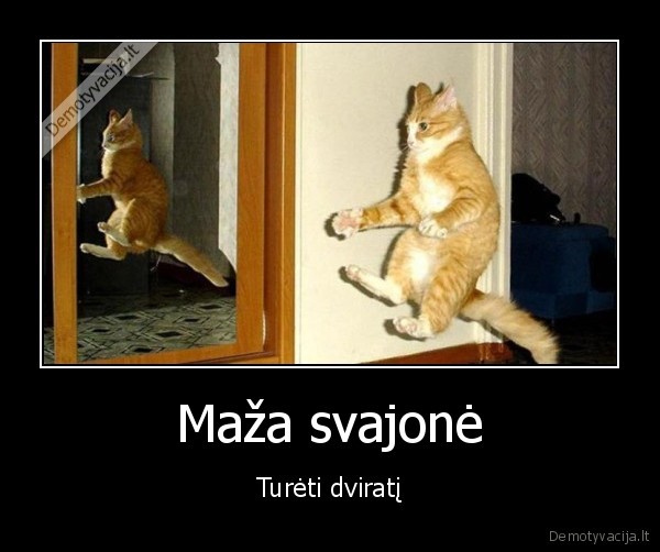 Maža svajonė