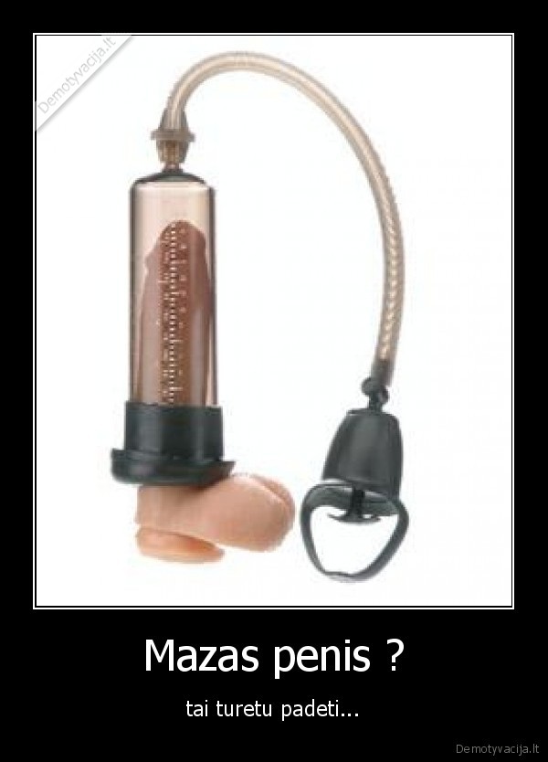 penis