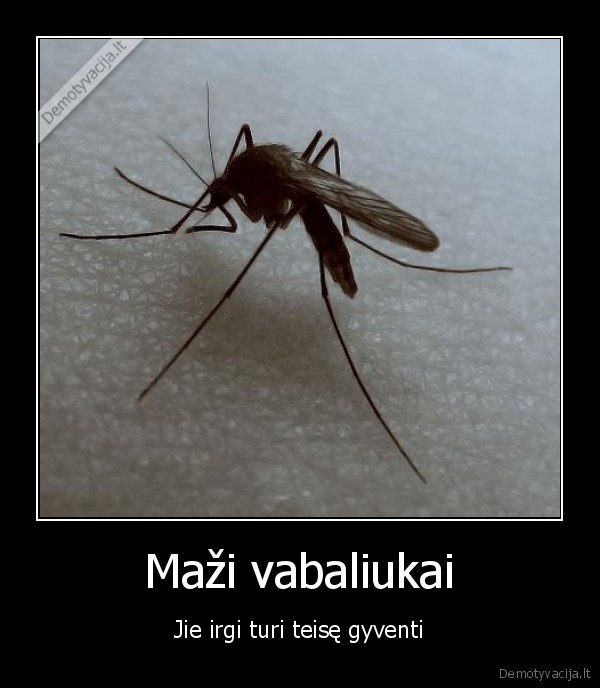gyvunai