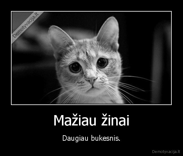 zinios,bukas