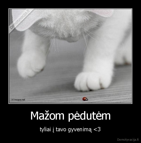 Mažom pėdutėm