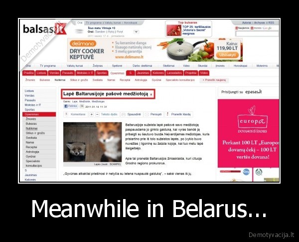 lape,medziokle,baltarusija
