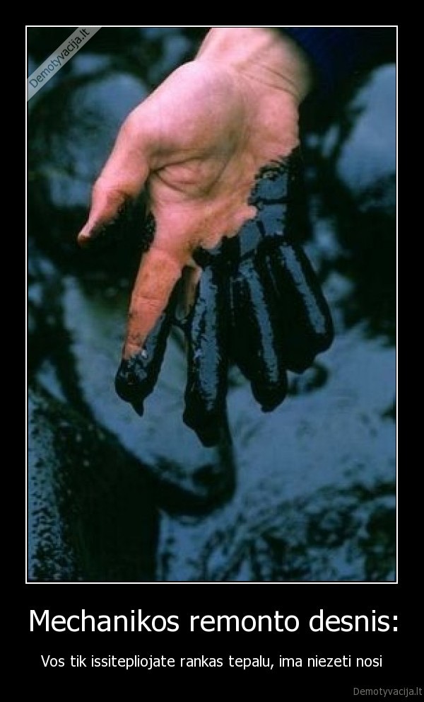 Mechanikos remonto desnis: