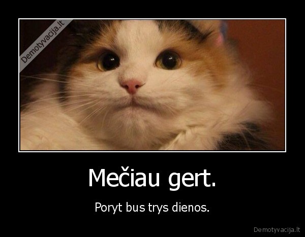 gerti,mesti,laiaks