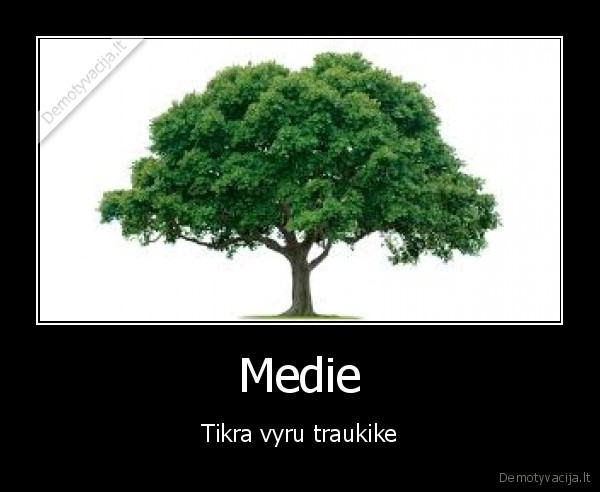 Medie