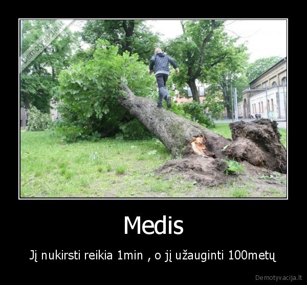 gamta
