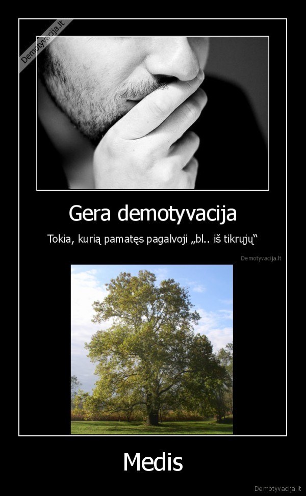 Medis