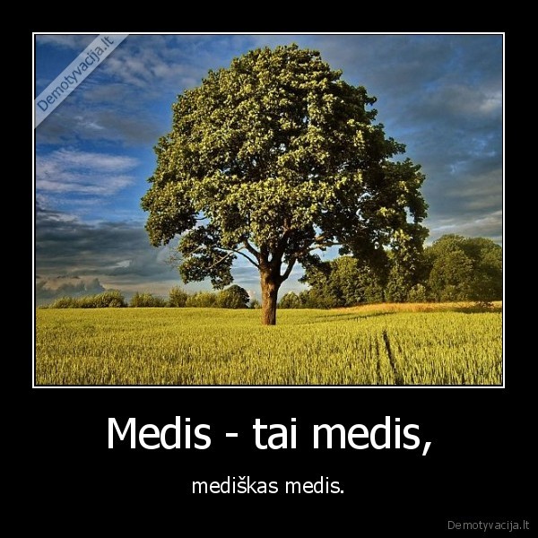kubilius,kaltas