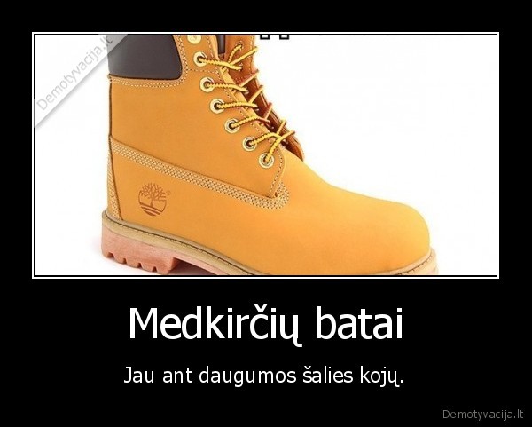 batai,timberland,medkirciai,zieminiai