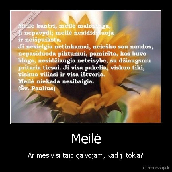 Meilė