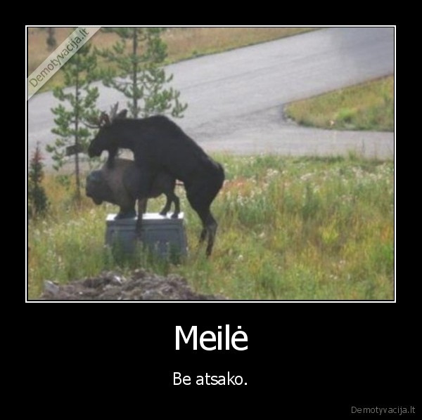 meile,buliai,statula