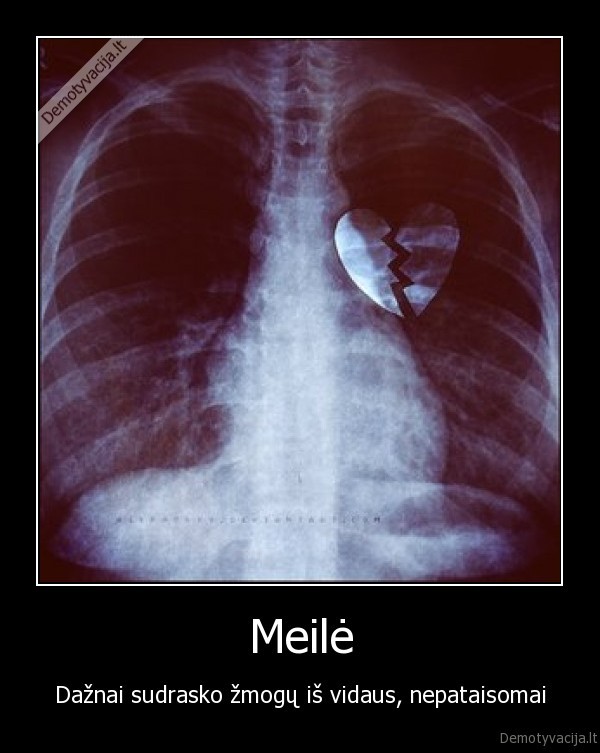 Meilė