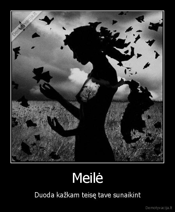 Meilė