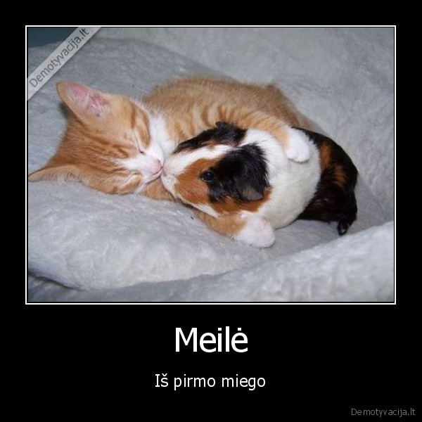 Meilė