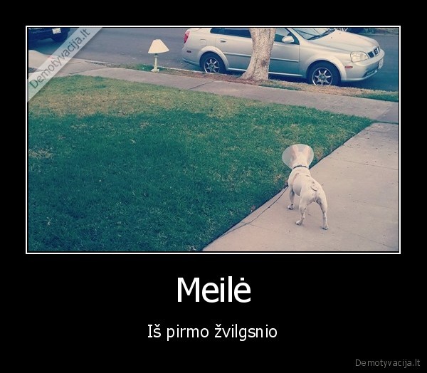 lempa,ligotas, suo