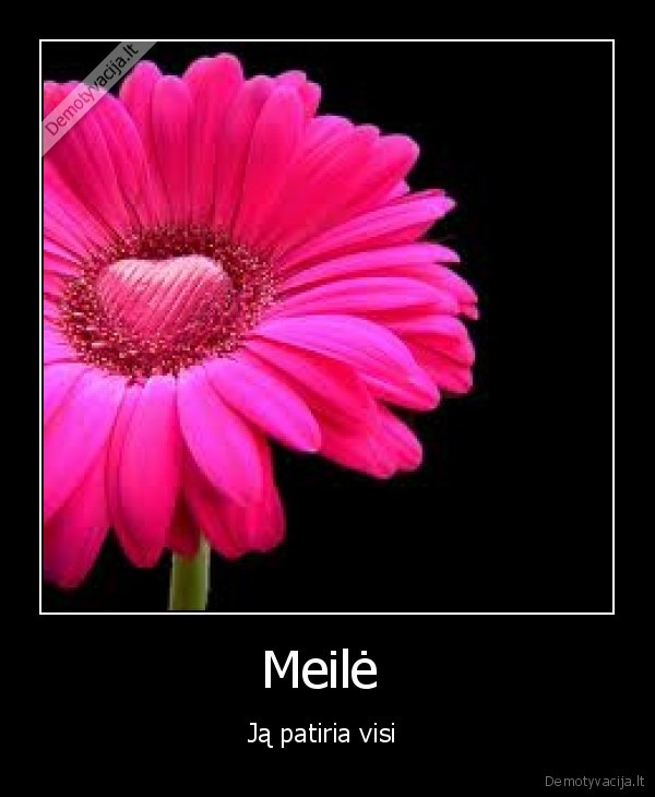 Meilė 