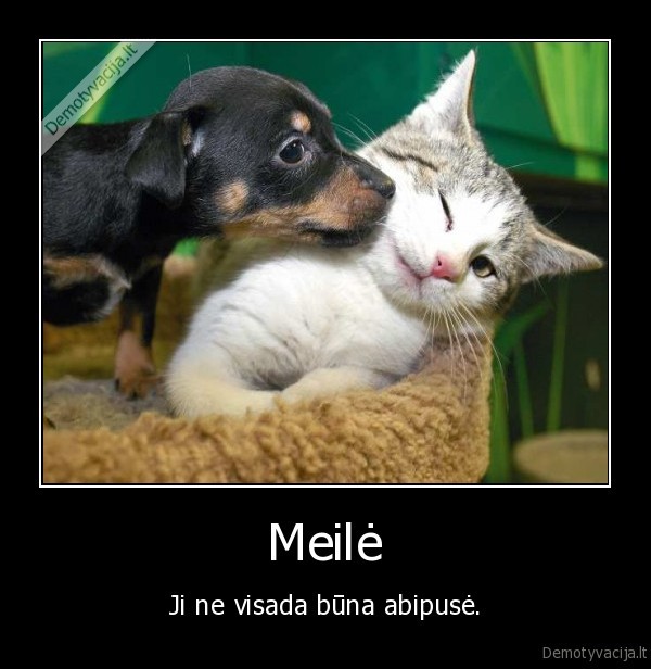 Meilė