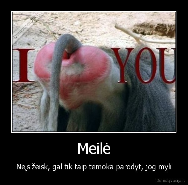 Meilė