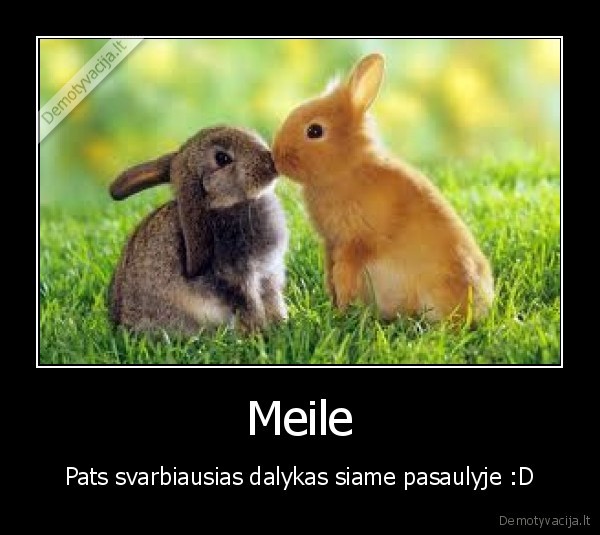 Meile