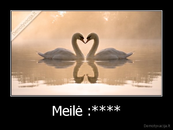 Meilė :****