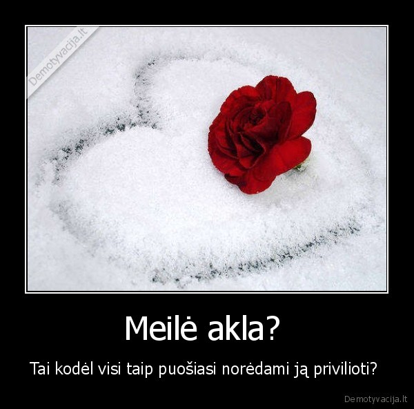 Meilė akla? 