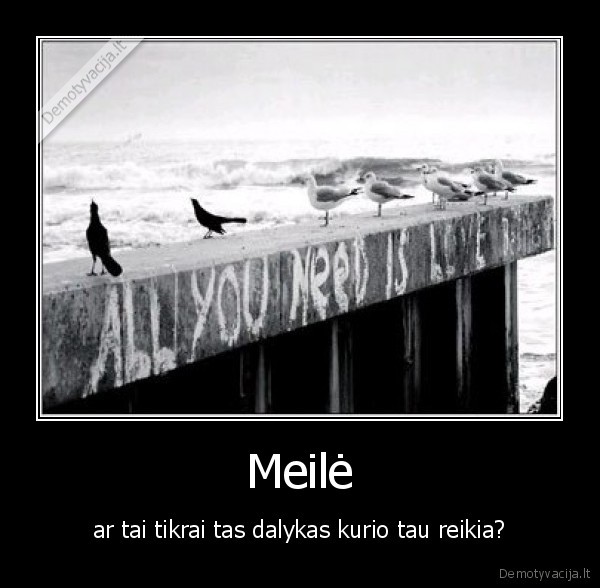 Meilė