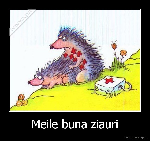 Meile buna ziauri