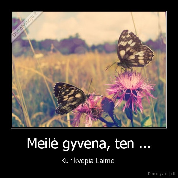 meile,laime,kvepia
