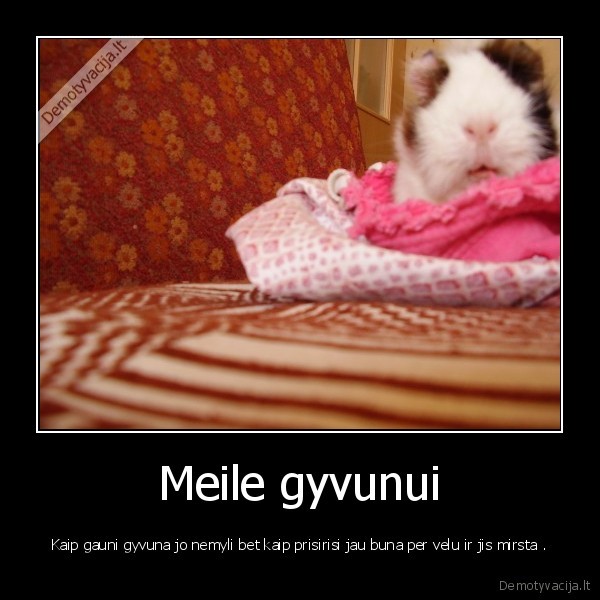 gyvunas, mirtis, meile