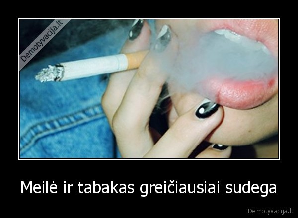 meile,tabakas