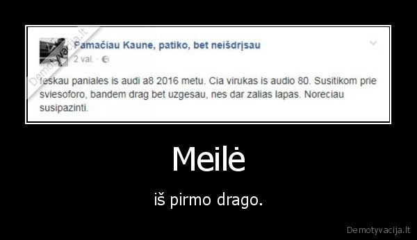 kaunas,dragas,audi