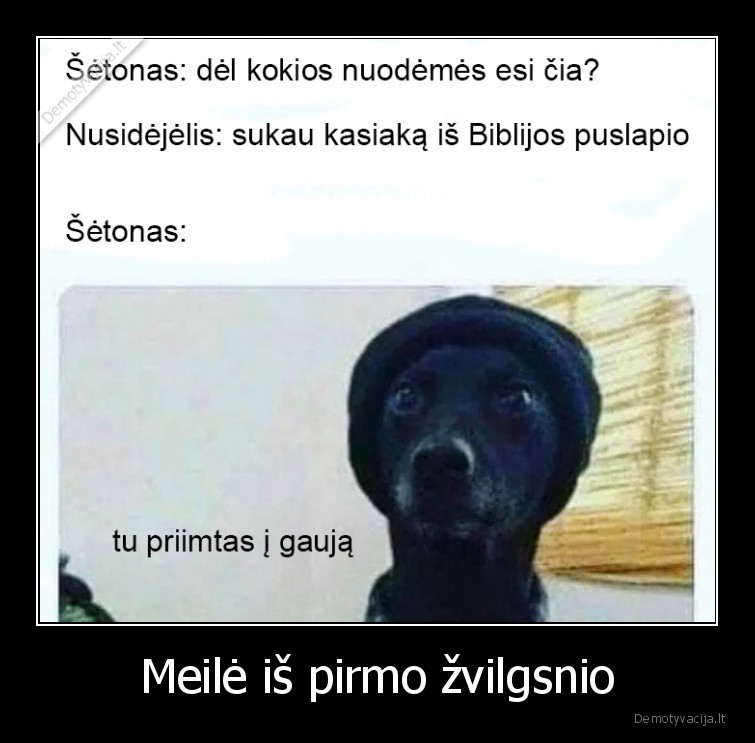 meile,is, pirmo, zvilgsnio,setonas,nusidejelis