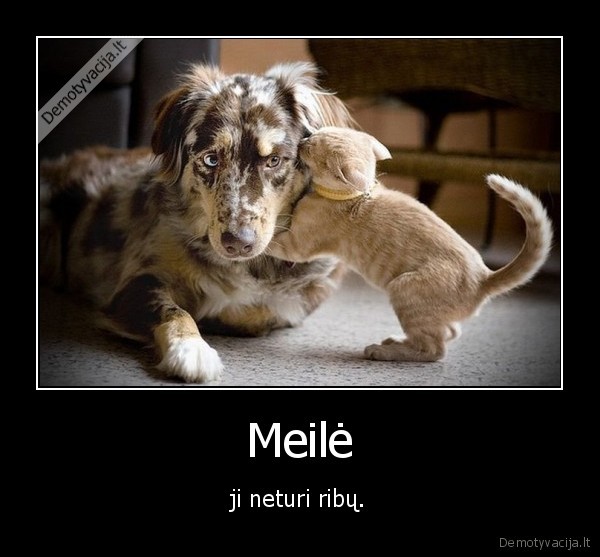 Meilė