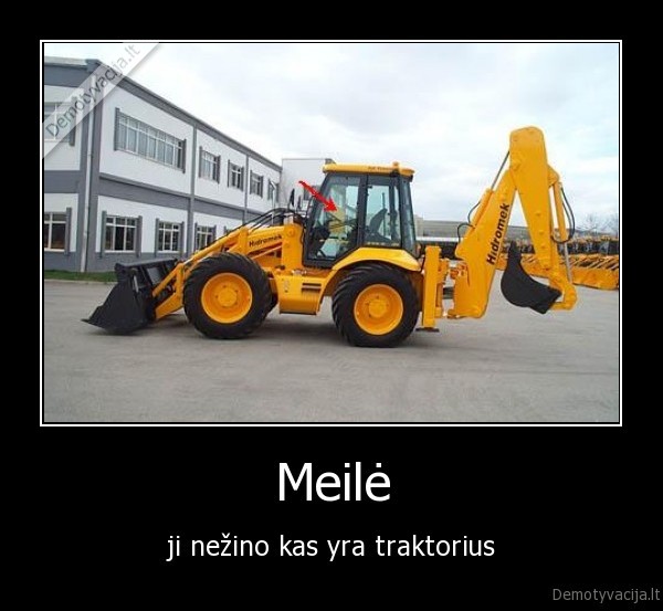meile, jausmai, erotika, protas, pramogos