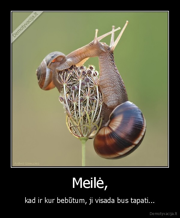 Meilė,