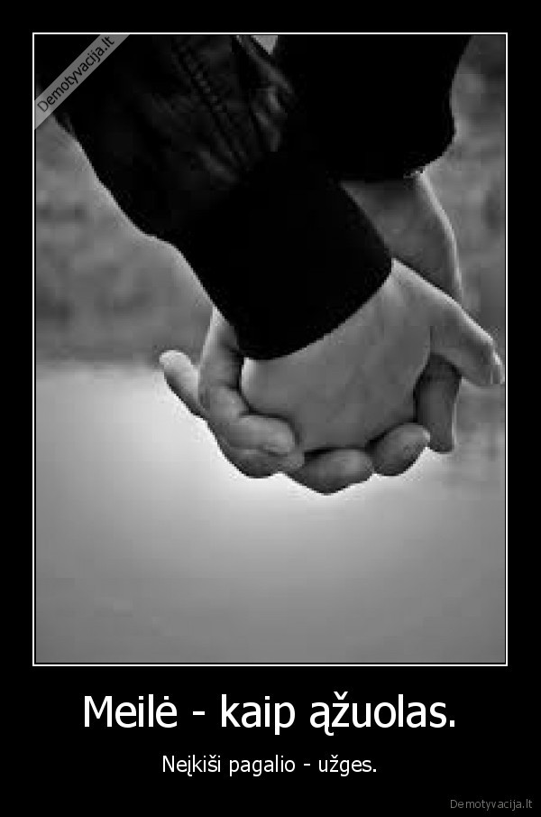 meile, love