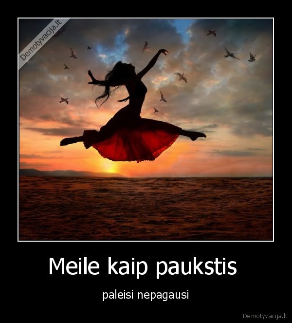 Meile kaip paukstis 