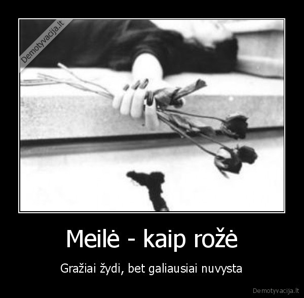 meile, nuvytusi, roze, meile, sudas, dd