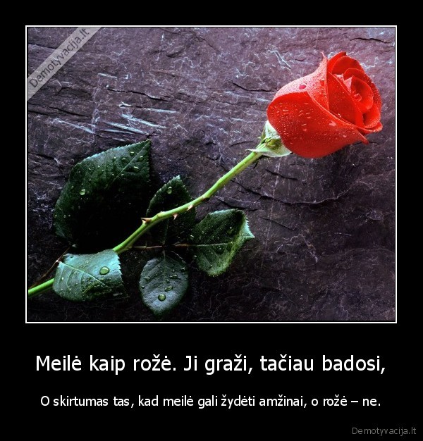 meile,roze