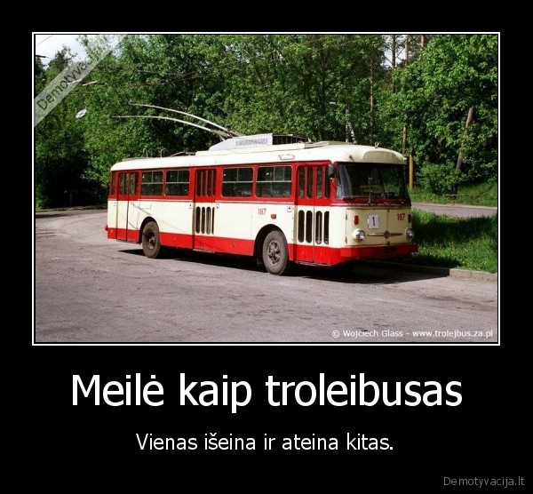meile,troleibusas