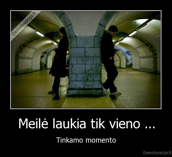 meile,momentas
