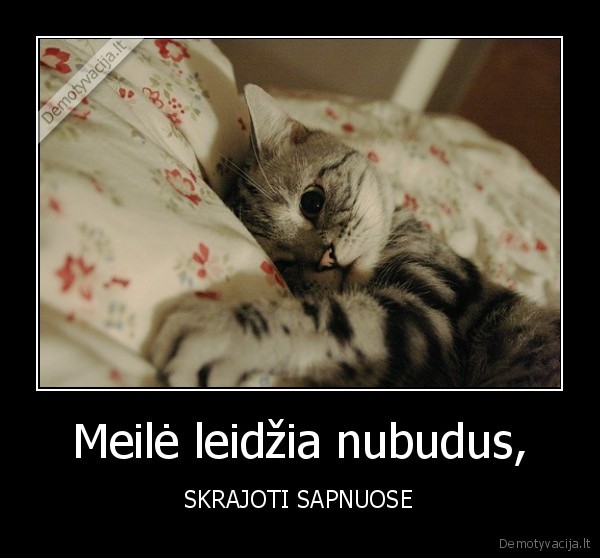 Meilė leidžia nubudus,